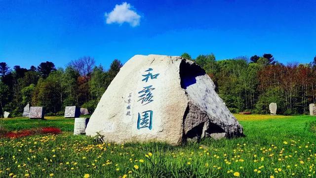 猫头鹰森林逃生